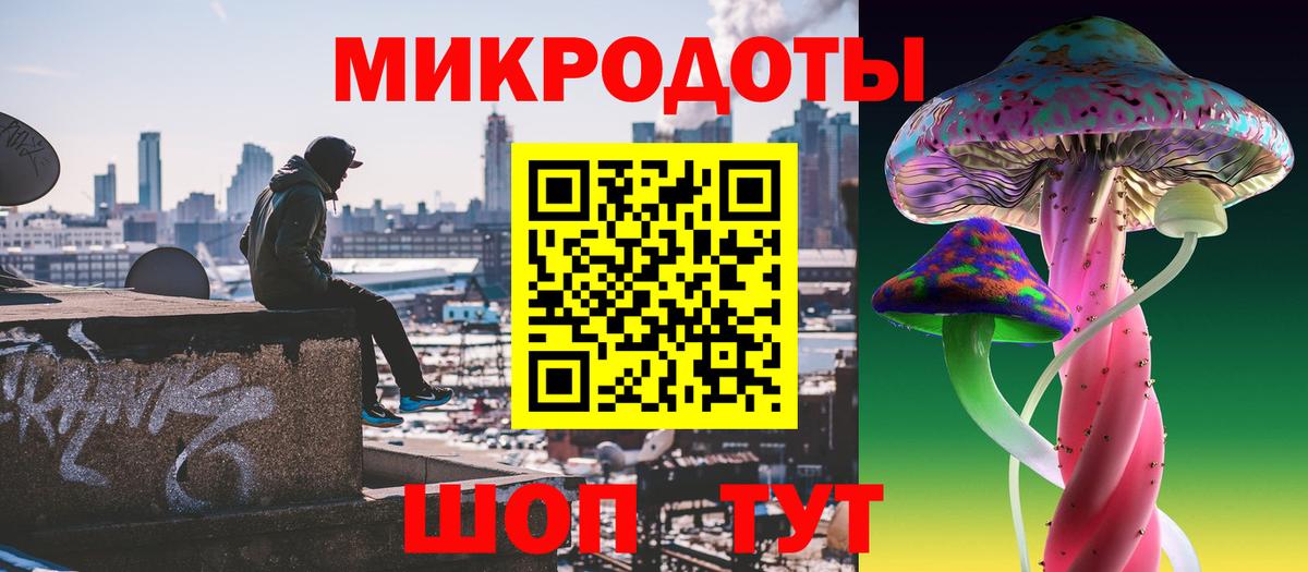 Псилоцибиновые грибы мицелий Фролово