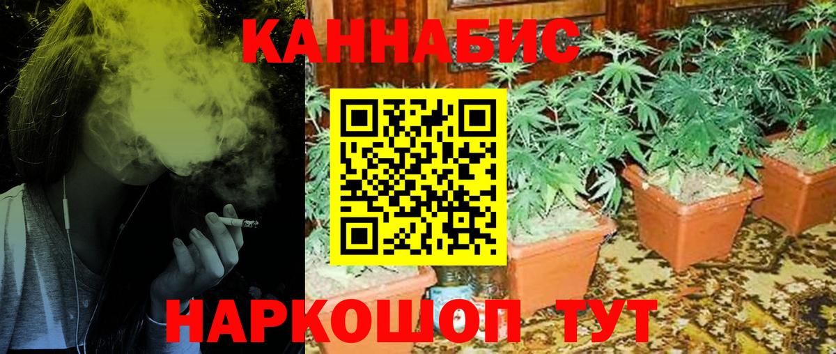 Каннабис марихуана Фролово